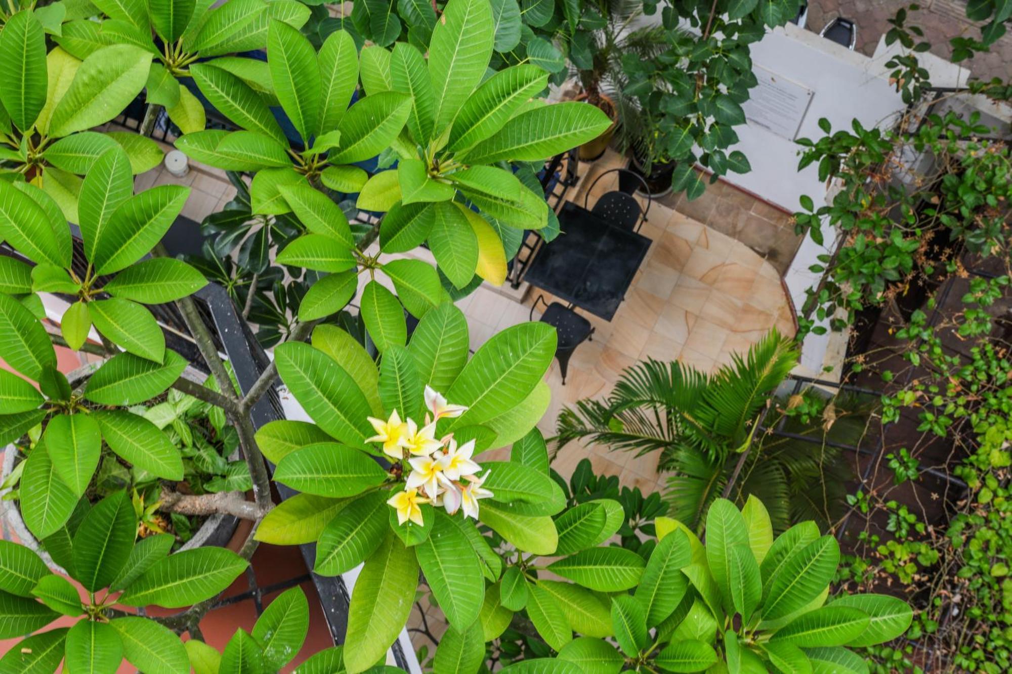 La Rose Suites Phnom Penh Luaran gambar